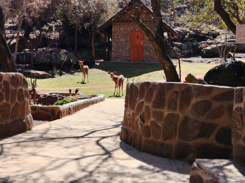 43 Bedroom Property for Sale in Middelburg Rural Mpumalanga