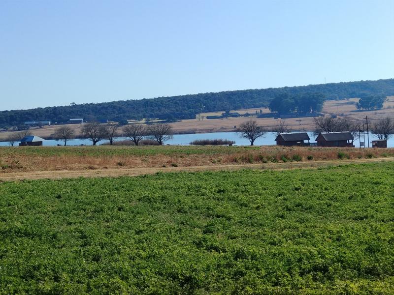 43 Bedroom Property for Sale in Middelburg Rural Mpumalanga