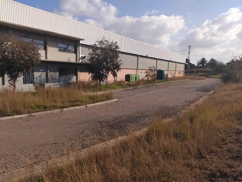 To Let commercial Property for Rent in Ermelo Mpumalanga