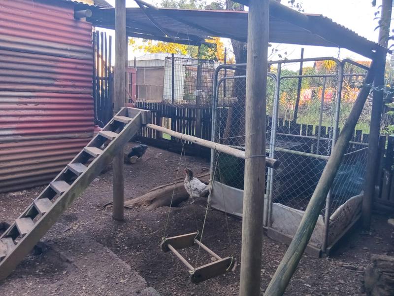 4 Bedroom Property for Sale in Graskop Mpumalanga