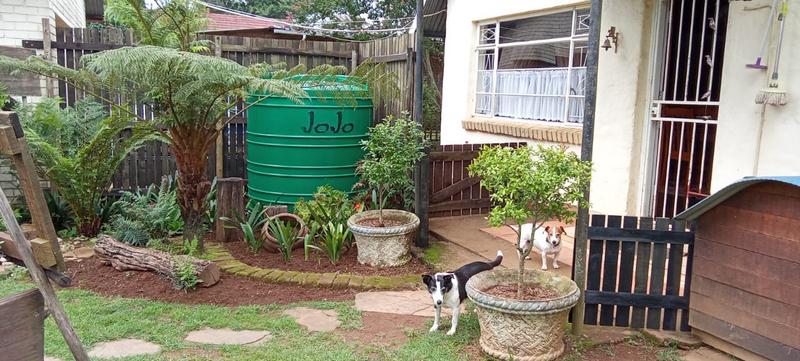 4 Bedroom Property for Sale in Graskop Mpumalanga