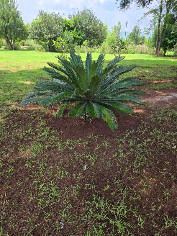 3 Bedroom Property for Sale in Middelburg Mpumalanga