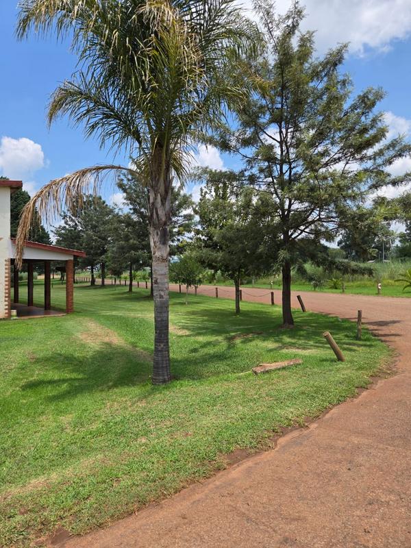 3 Bedroom Property for Sale in Middelburg Mpumalanga