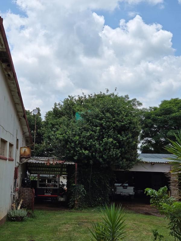3 Bedroom Property for Sale in Middelburg Mpumalanga