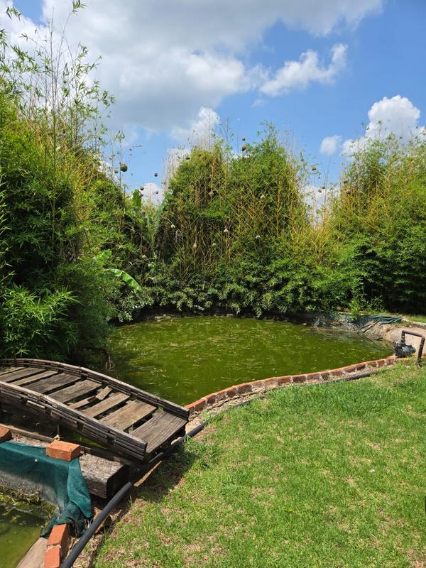 3 Bedroom Property for Sale in Middelburg Mpumalanga