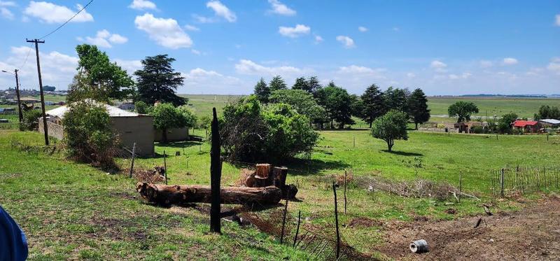 3 Bedroom Property for Sale in Chrissiesmeer Mpumalanga