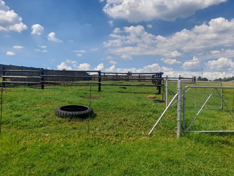 6 Bedroom Property for Sale in Ermelo Rural Mpumalanga