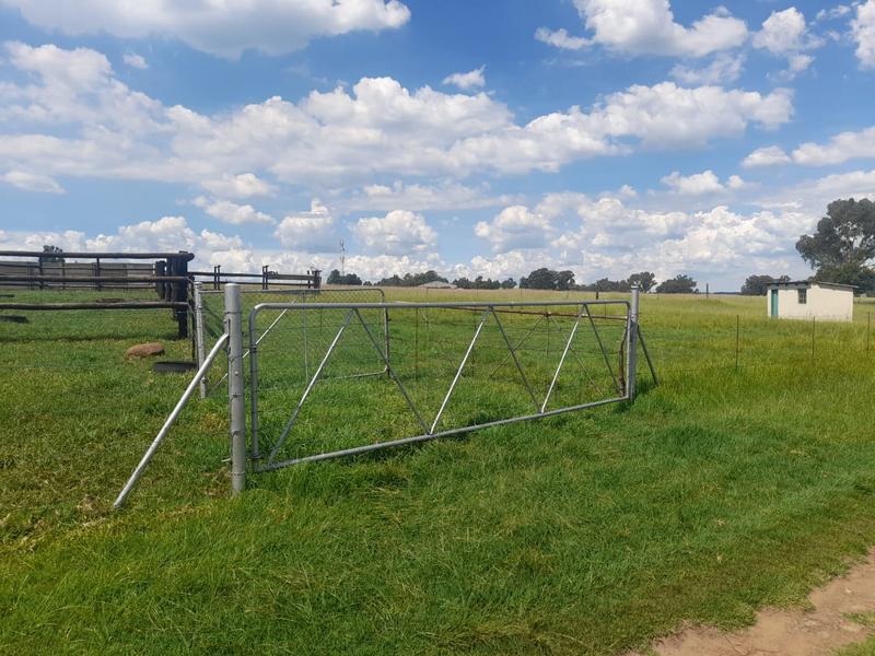 6 Bedroom Property for Sale in Ermelo Rural Mpumalanga