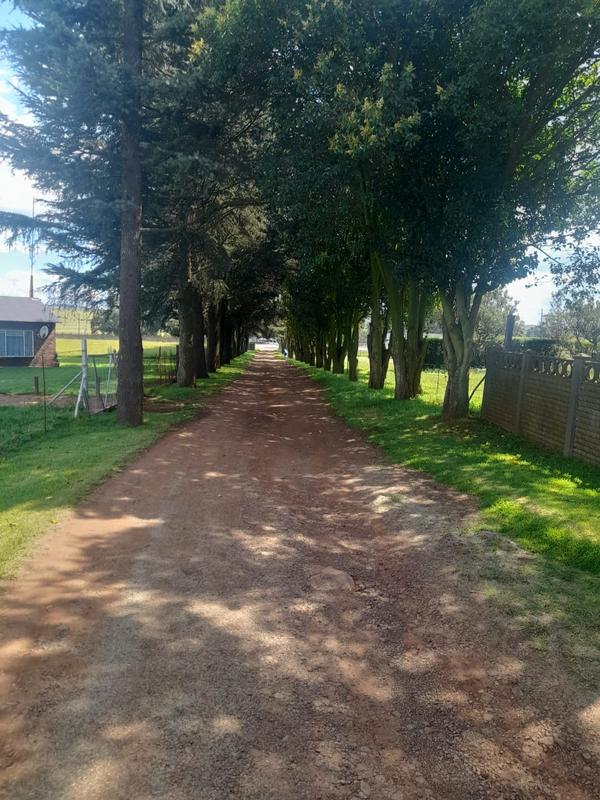 6 Bedroom Property for Sale in Ermelo Rural Mpumalanga