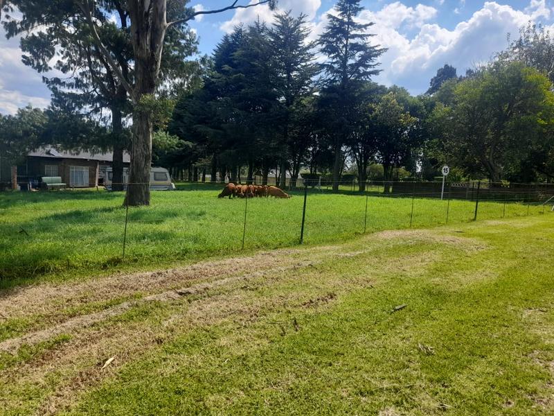 6 Bedroom Property for Sale in Ermelo Rural Mpumalanga