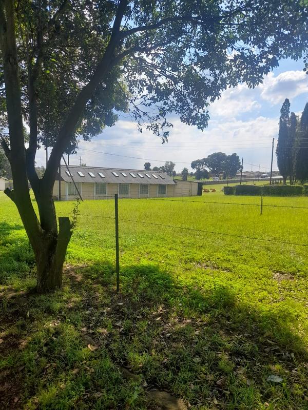 6 Bedroom Property for Sale in Ermelo Rural Mpumalanga