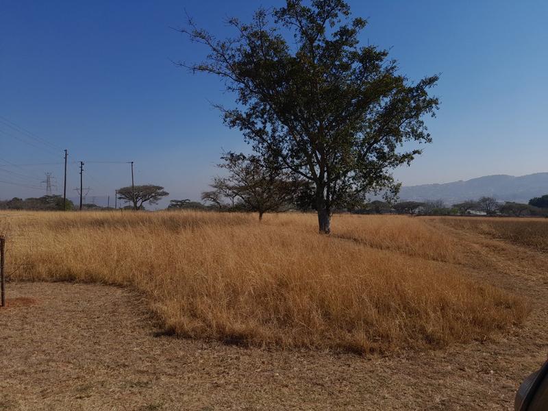 0 Bedroom Property for Sale in Bundu Wildlife Estate Mpumalanga
