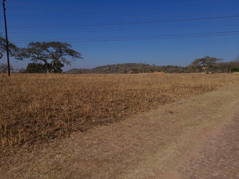 0 Bedroom Property for Sale in Bundu Wildlife Estate Mpumalanga