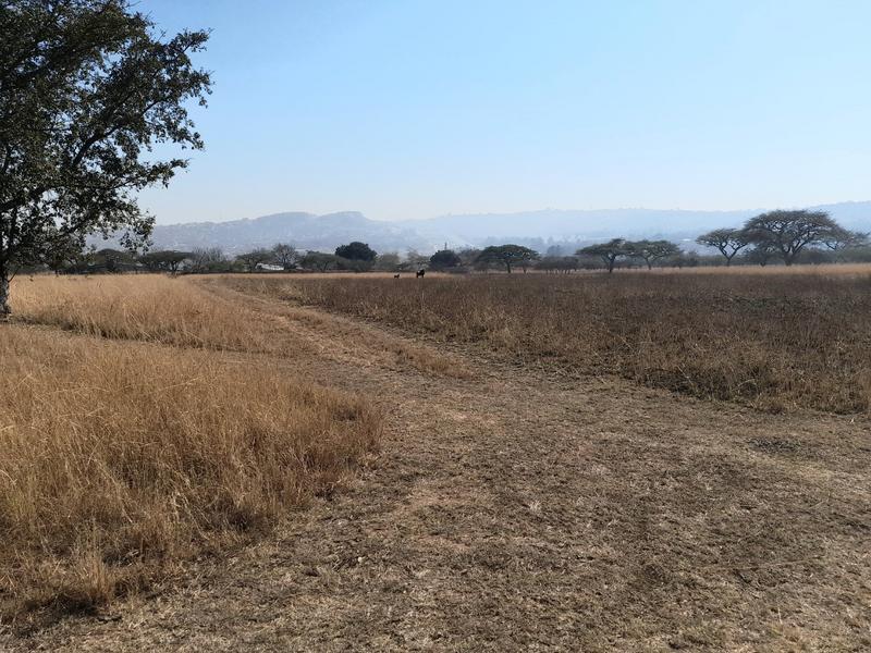0 Bedroom Property for Sale in Bundu Wildlife Estate Mpumalanga