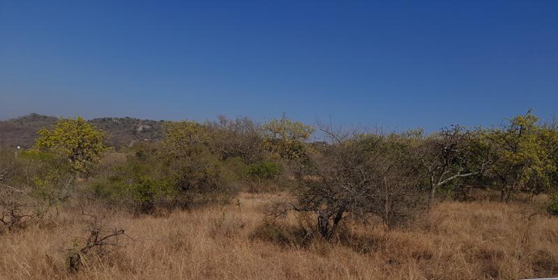 0 Bedroom Property for Sale in Bundu Wildlife Estate Mpumalanga