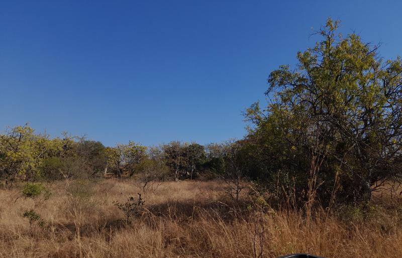 0 Bedroom Property for Sale in Bundu Wildlife Estate Mpumalanga