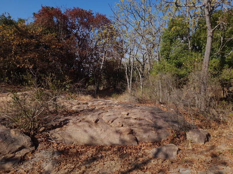 0 Bedroom Property for Sale in Bundu Wildlife Estate Mpumalanga
