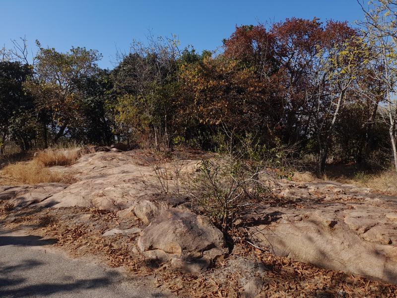 0 Bedroom Property for Sale in Bundu Wildlife Estate Mpumalanga