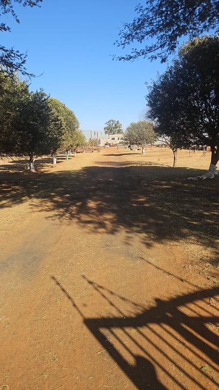 0 Bedroom Property for Sale in Eloff Mpumalanga