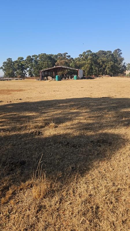 0 Bedroom Property for Sale in Eloff Mpumalanga