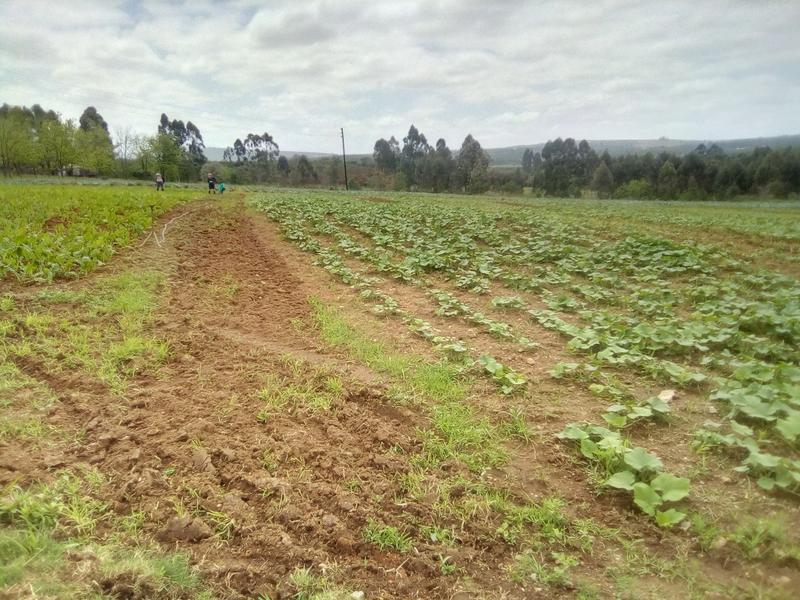 3 Bedroom Property for Sale in White River Rural Mpumalanga