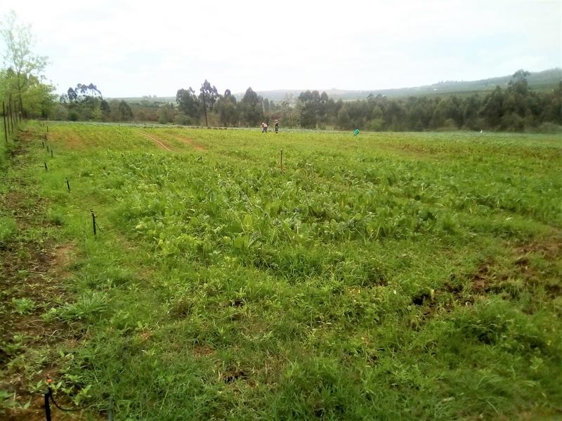 3 Bedroom Property for Sale in White River Rural Mpumalanga