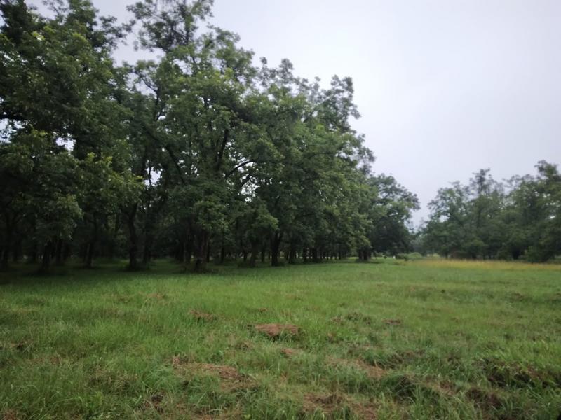 0 Bedroom Property for Sale in White River Estates Mpumalanga