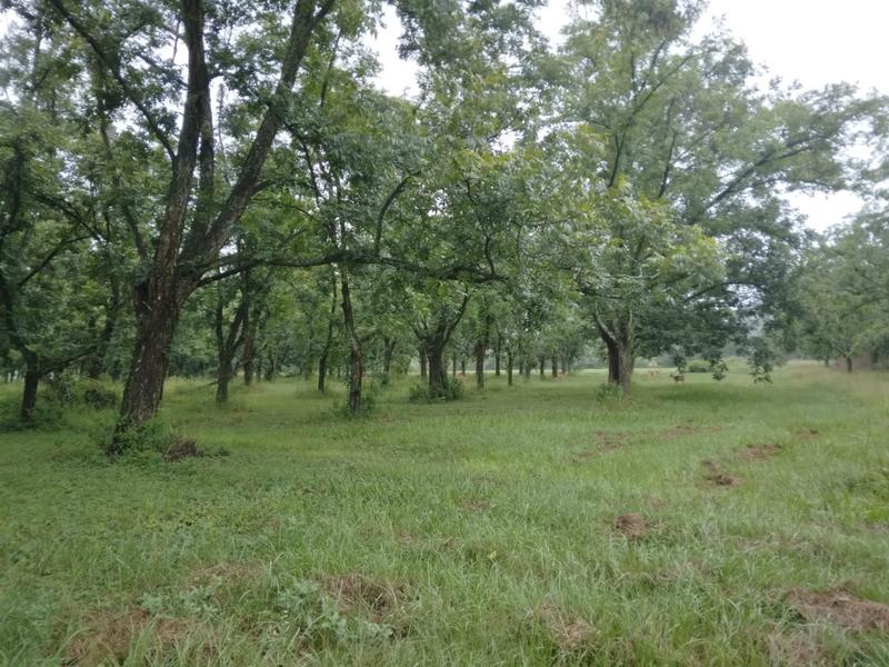 0 Bedroom Property for Sale in White River Estates Mpumalanga