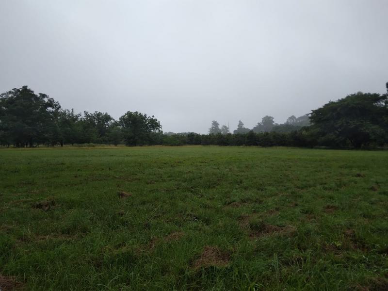 0 Bedroom Property for Sale in White River Estates Mpumalanga