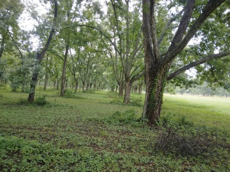 0 Bedroom Property for Sale in White River Estates Mpumalanga