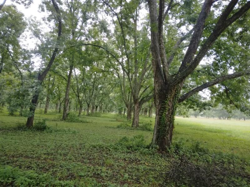 0 Bedroom Property for Sale in White River Estates Mpumalanga