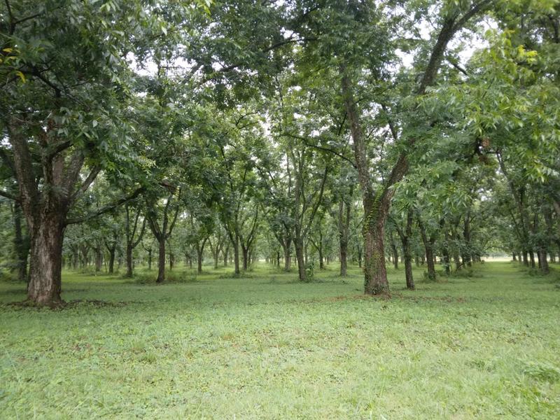 0 Bedroom Property for Sale in White River Estates Mpumalanga