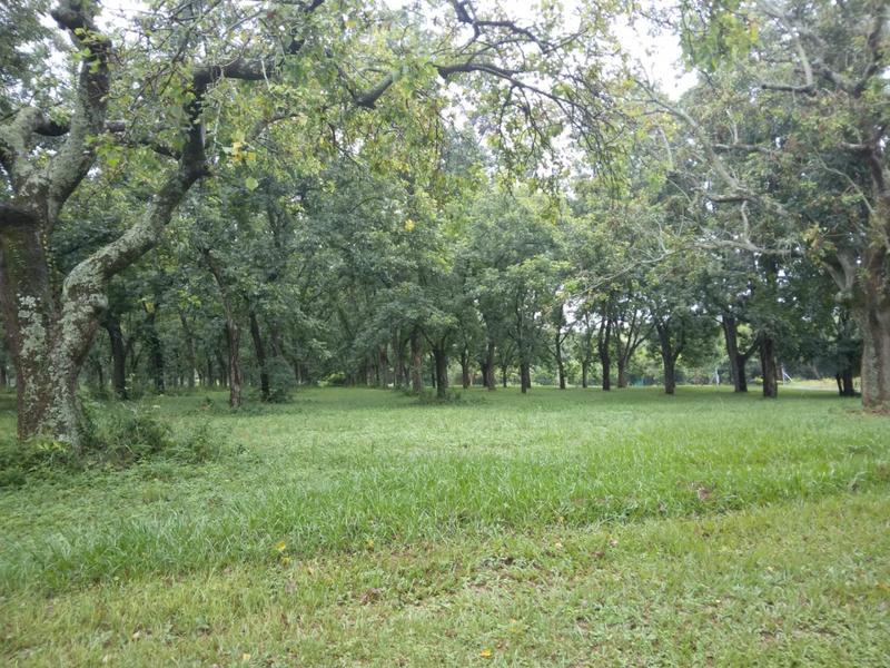 0 Bedroom Property for Sale in White River Estates Mpumalanga