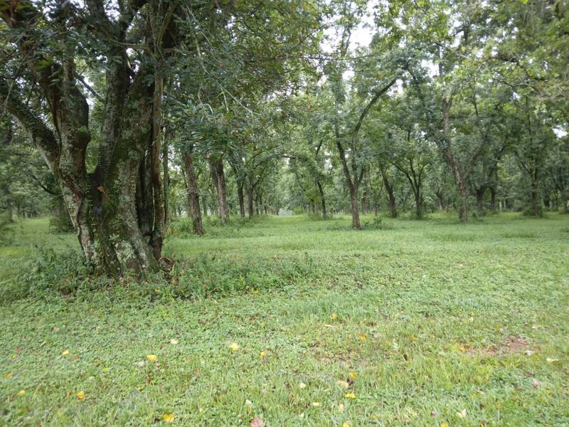 0 Bedroom Property for Sale in White River Estates Mpumalanga