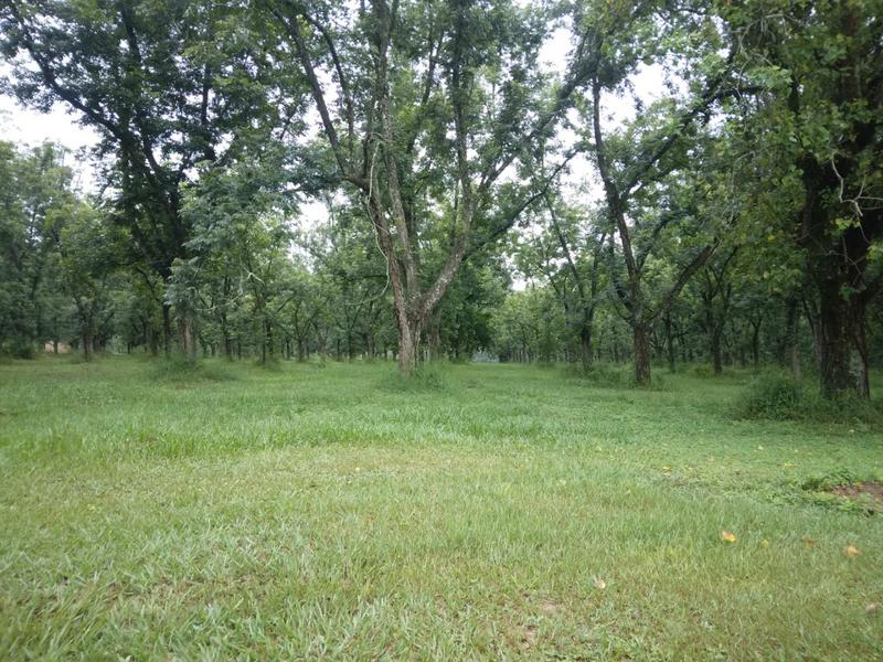0 Bedroom Property for Sale in White River Estates Mpumalanga
