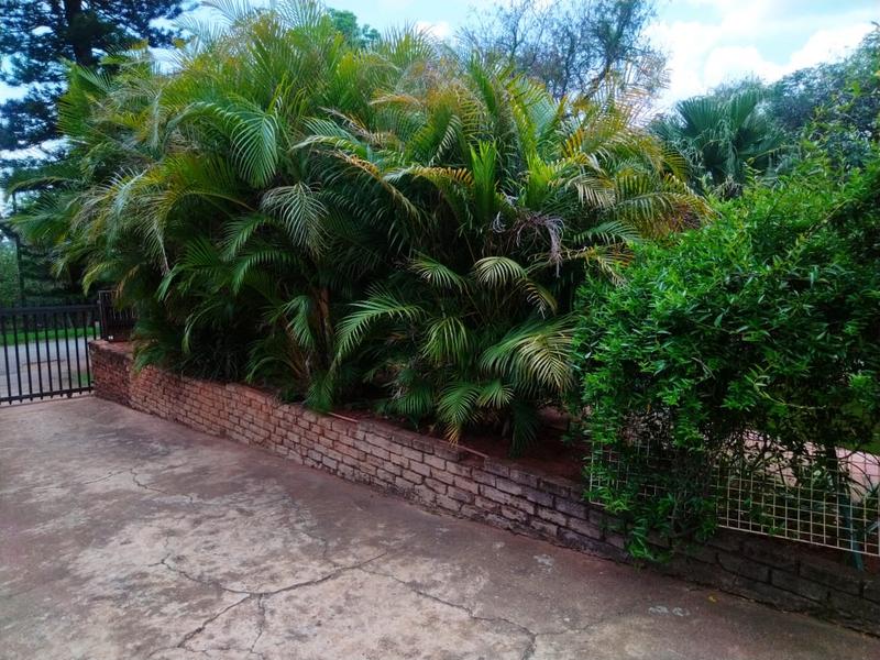 3 Bedroom Property for Sale in Barberton Mpumalanga