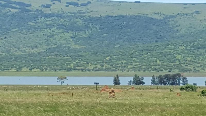 To Let 0 Bedroom Property for Rent in Lydenburg Mpumalanga