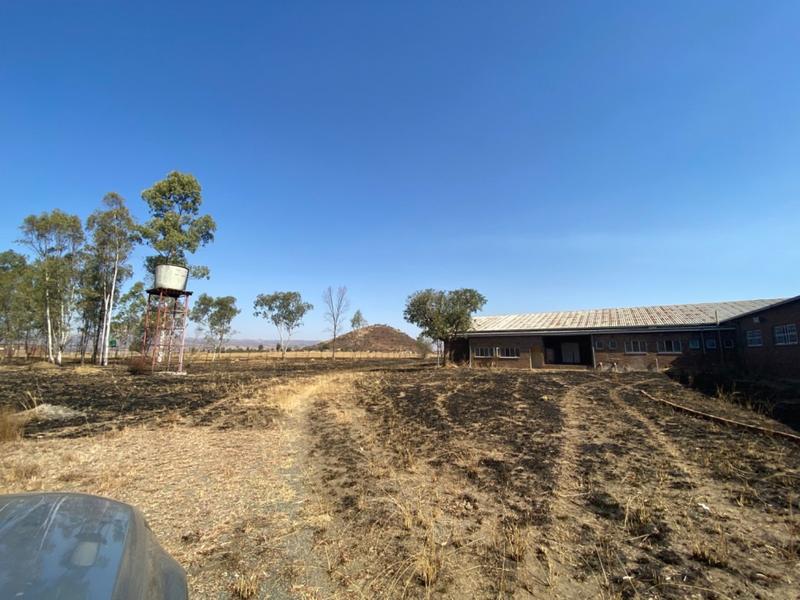 To Let 0 Bedroom Property for Rent in Lydenburg Mpumalanga