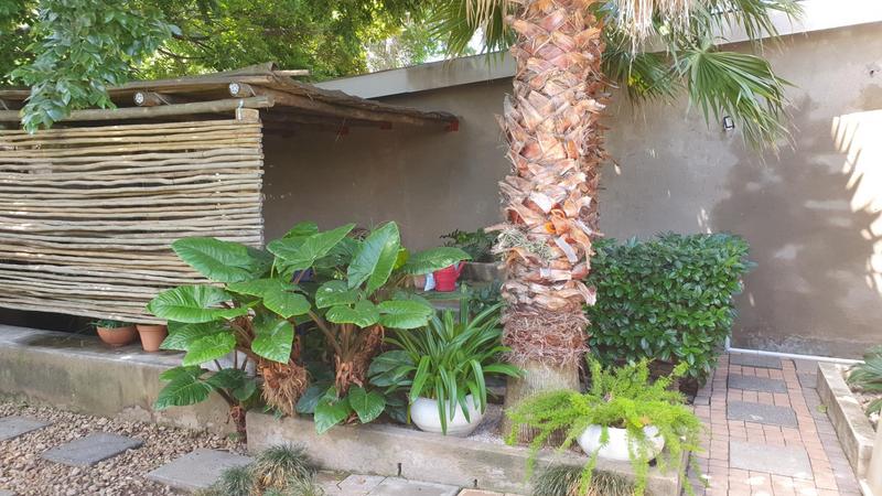 4 Bedroom Property for Sale in Bethal Mpumalanga
