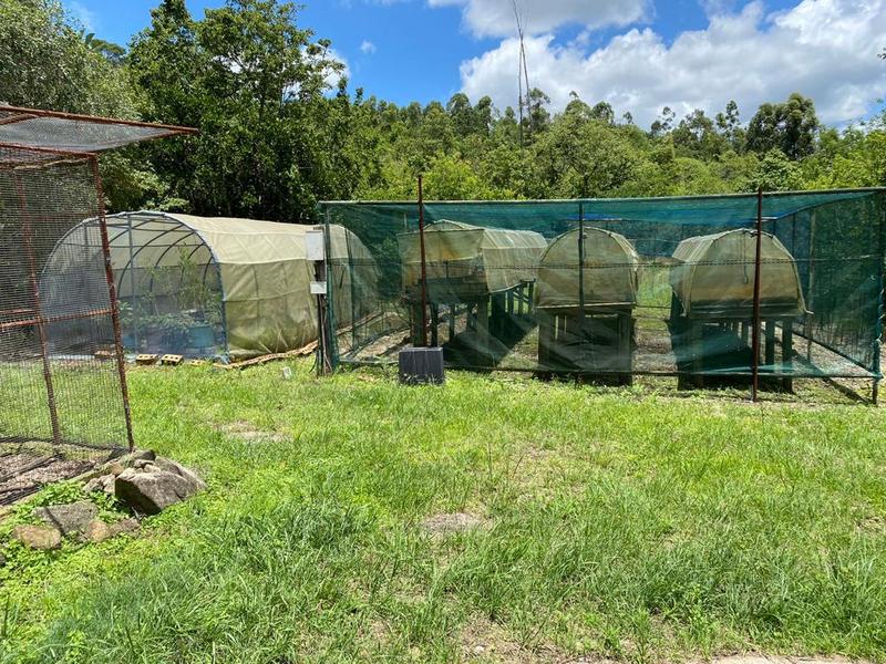 0 Bedroom Property for Sale in White River Rural Mpumalanga