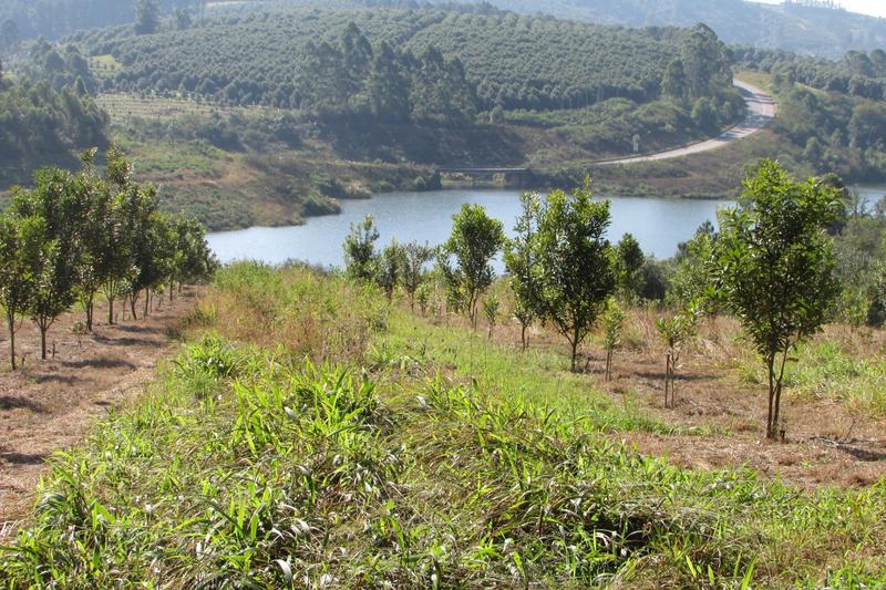 0 Bedroom Property for Sale in White River Rural Mpumalanga