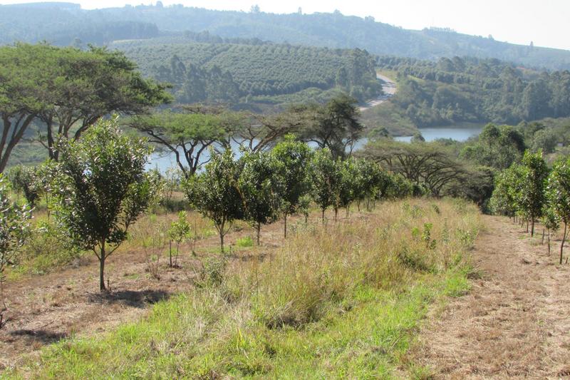 0 Bedroom Property for Sale in White River Rural Mpumalanga