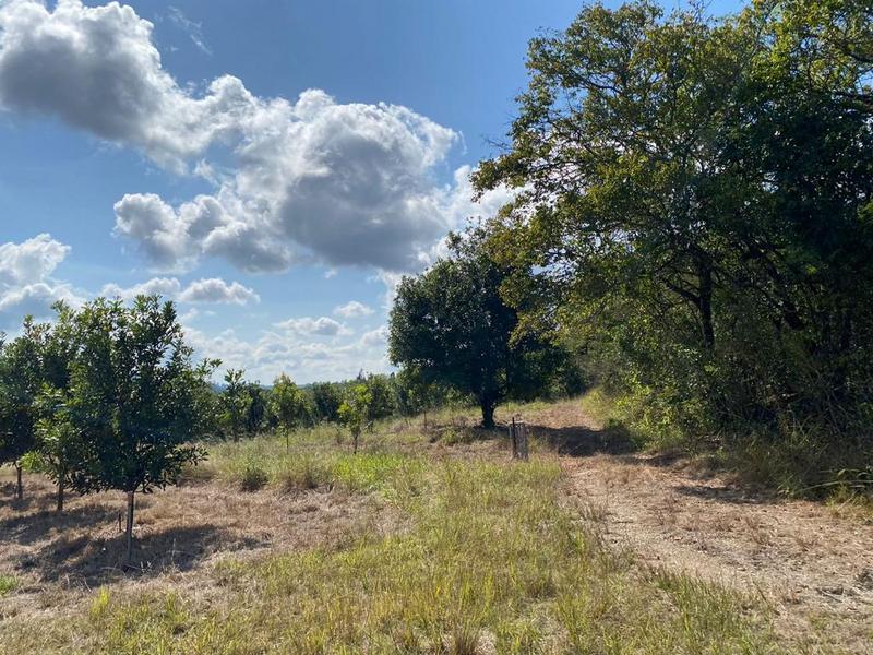 0 Bedroom Property for Sale in White River Rural Mpumalanga