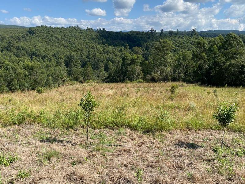 0 Bedroom Property for Sale in White River Rural Mpumalanga