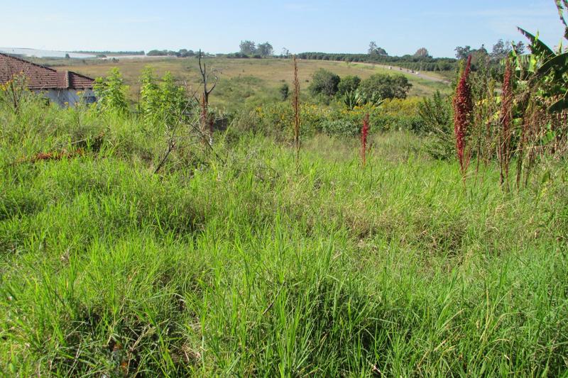 0 Bedroom Property for Sale in Kingsview Mpumalanga