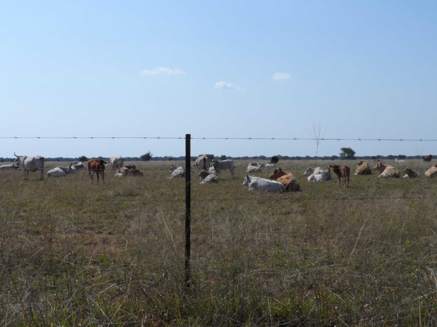 0 Bedroom Property for Sale in Marble Hall Mpumalanga