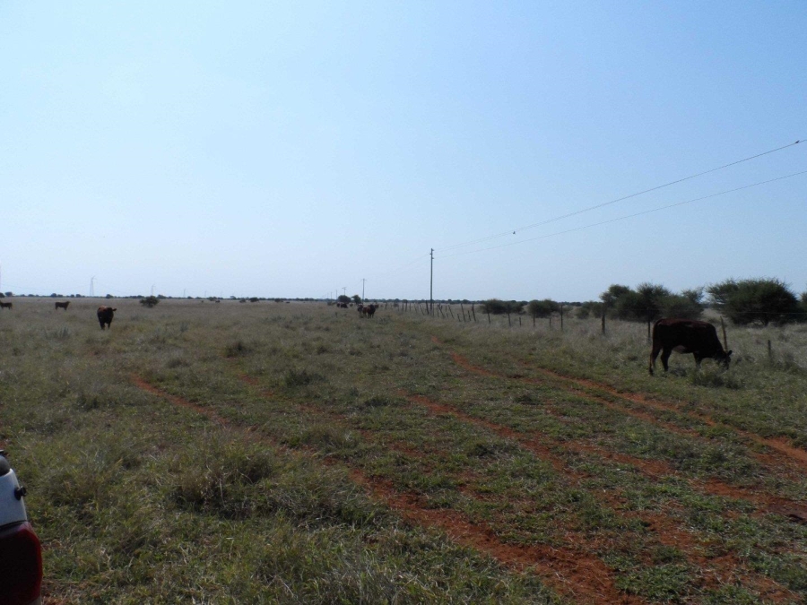 0 Bedroom Property for Sale in Marble Hall Mpumalanga