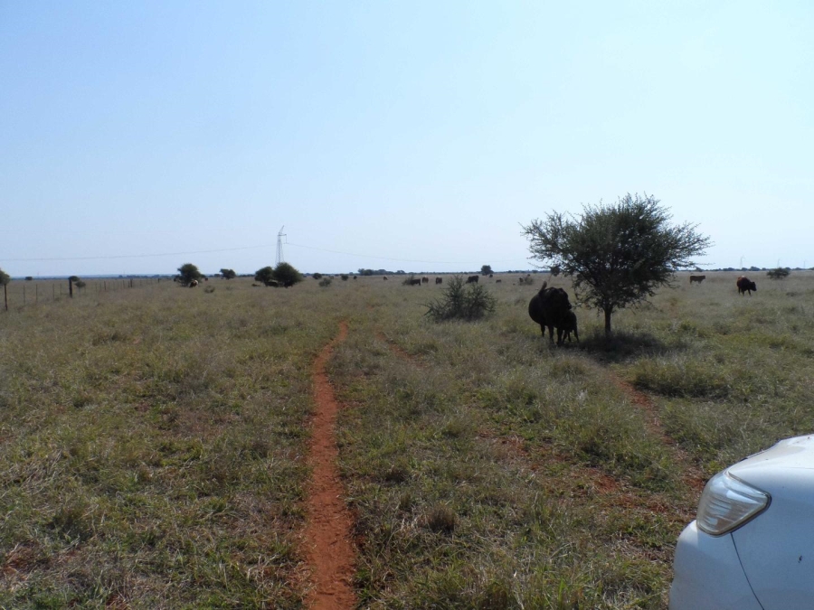 0 Bedroom Property for Sale in Marble Hall Mpumalanga
