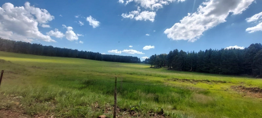 0 Bedroom Property for Sale in Belfast Mpumalanga