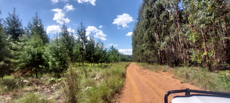 0 Bedroom Property for Sale in Belfast Mpumalanga